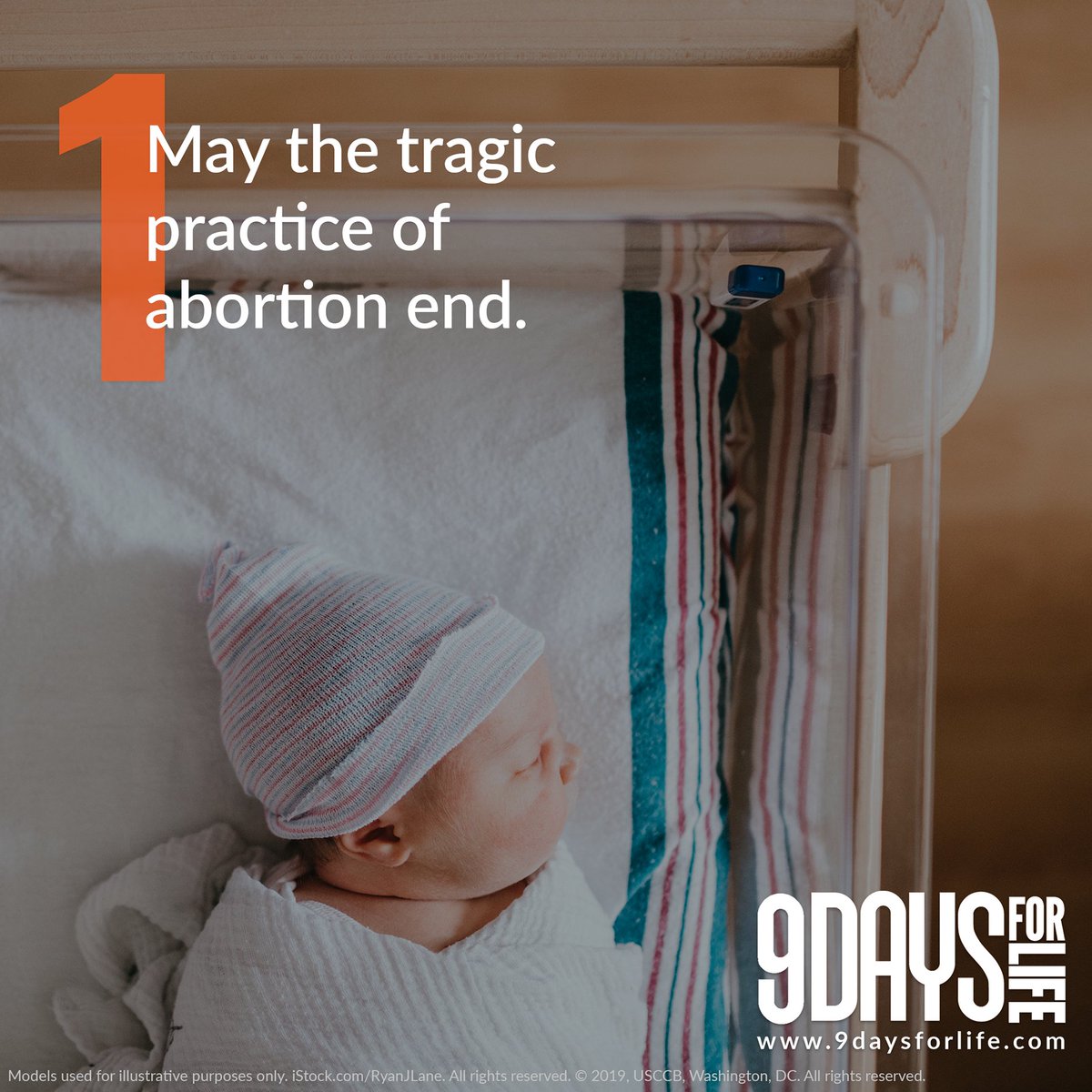 KofCAlabama's tweet photo. Day One: January 21, 2021 

Intercession: May the tragic practice of abortion end.

https://t.co/lRnZo4ZpoT #ProLife https://t.co/zGXQ8xG3Bl