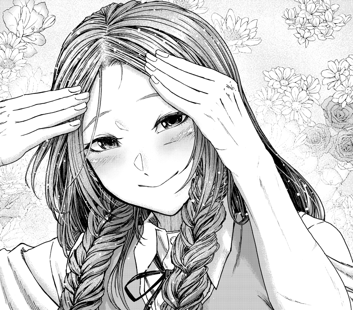 hong meiling 1girl greyscale monochrome solo twin braids braid smile  illustration images