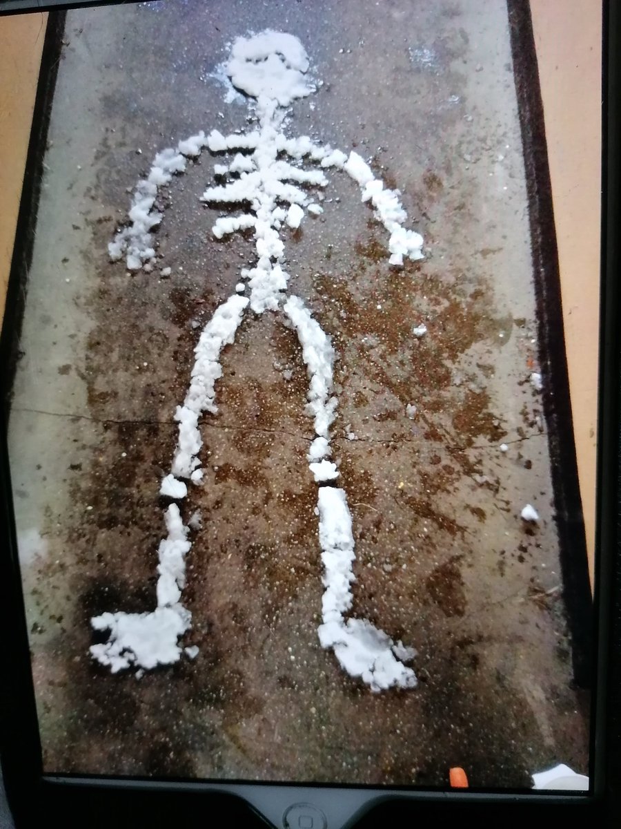 Nancy87247258's tweet photo. @pe_mrd @Porty_StJs @Dalry1876 @TeamDalry Hassan and Maria did skeleton. With snow https://t.co/MXYzejuLY8