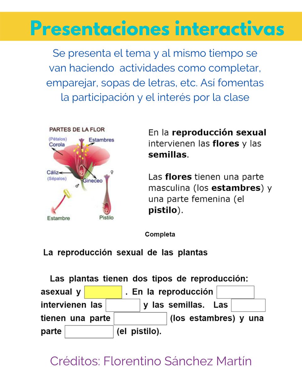 EducacionGuao's tweet photo. Un gran apoyo para las clases son las presentaciones en Power Point. ¡Excelente!
Acá te mostramos un ejemplo de cómo hacerlas interactivas. 
Por cierto, en la sección Tu Aula hay varios recursos como estos para que te sirvan de inspiración https://t.co/x6E4IKThip https://t.co/eVndsaI5lo