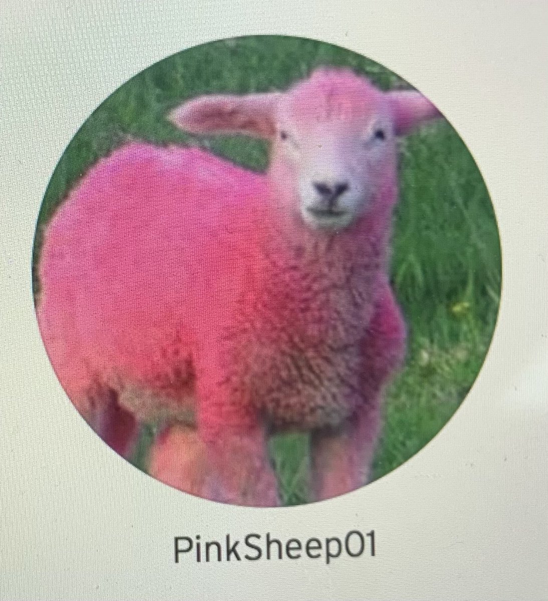 MILLENNIALTRSH's tweet image. The four horsemen of SoundCloud.