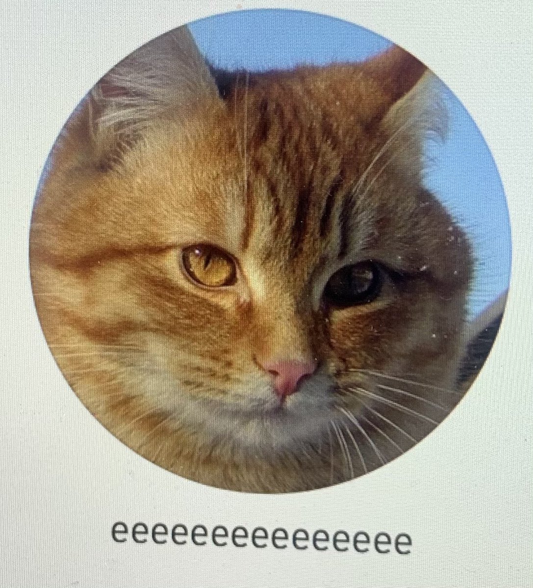 MILLENNIALTRSH's tweet image. The four horsemen of SoundCloud.