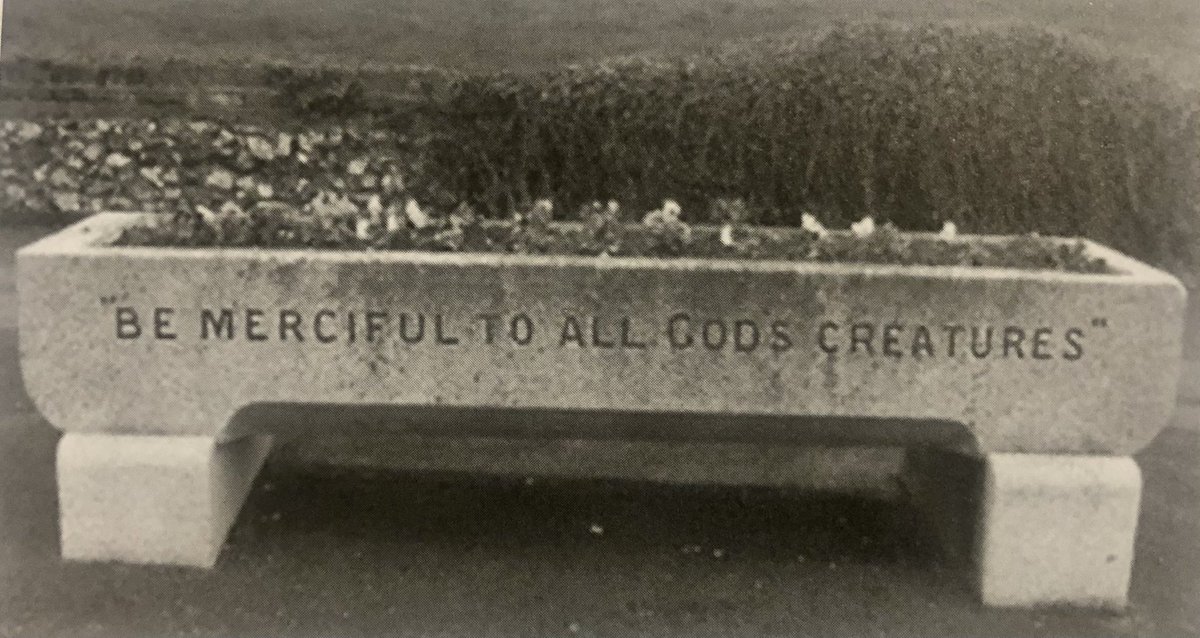 The Leatherhead horse trough that once stood at the junction of Bull Hill and Kingston Road (near to where Bp now stands). It was donated by Mary Emma Braybrooke and can now be found near the Parish Church where Gim Crack hill meets Church Street.