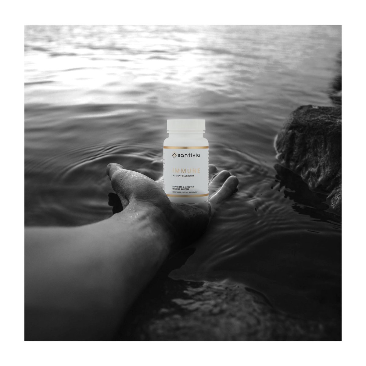 smart_immune's tweet photo. Looking for a whole food supplement for balancing your immune system? Meet Santivia®. 

Learn more and dive into the research, clinical studies and reviews today at https://t.co/LSbHBelJnG 

To health, happiness, and immunity for all! https://t.co/H7QaJDsKr4
