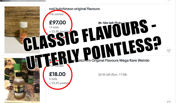 |               Carpfeed.com                | tweet media