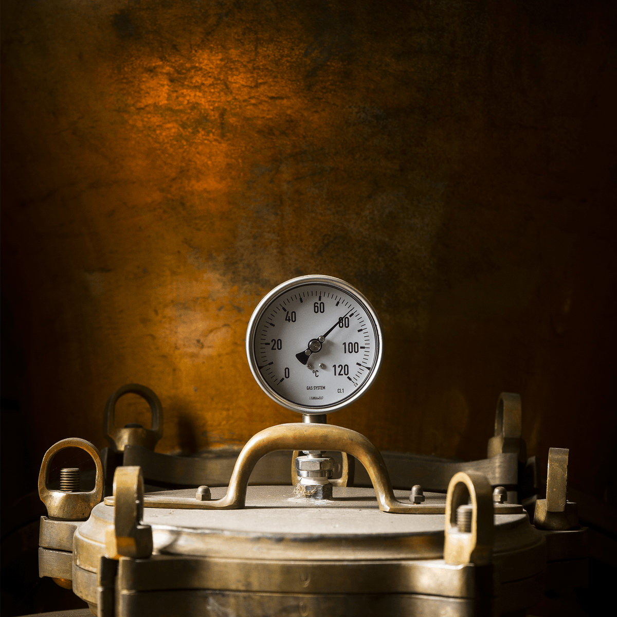 NouaisonGin's tweet photo. Nouaison Gin, the ideal distillation to sublimate your cocktails ! 

#ExperienceNouaison #Distillation #AlternativeGin https://t.co/At1jHCcoXU