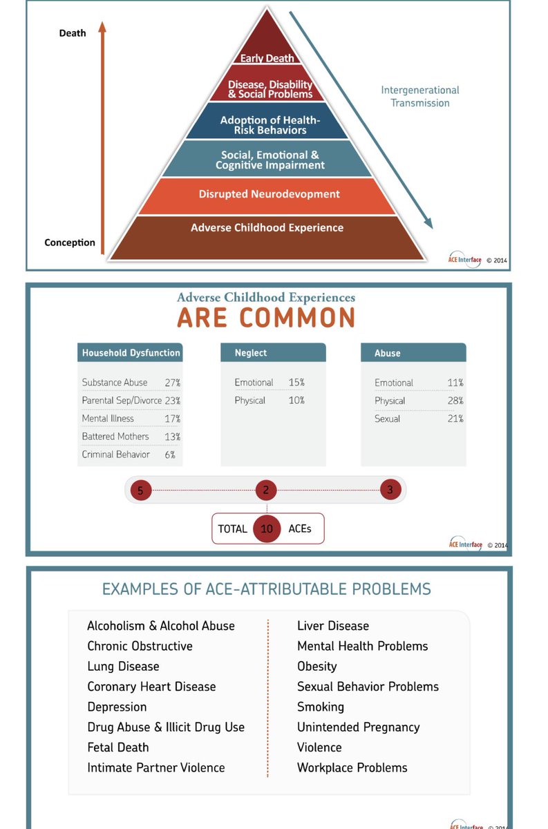 Morrison4MN's tweet photo. Great presentation by Dave Ellis, a national expert on adverse childhood experiences (#ACES) and the Executive Director of the Office of Resilience in New Jersey about the urgency of investing in the first three years of childrenโs lives. #EarlyChildhoodMatters #FirstThreeYears https://t.co/cBSqXqC56n