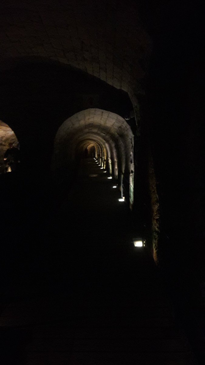 5/ >> Two years after the excavation in the Knights' Halls began, the Akko Municipality received a call from tenants in the Old City whose sewers were clogged. The team sent to solve the problem opened the floor in the alley next to the house, but they didn't find a sewer. >>