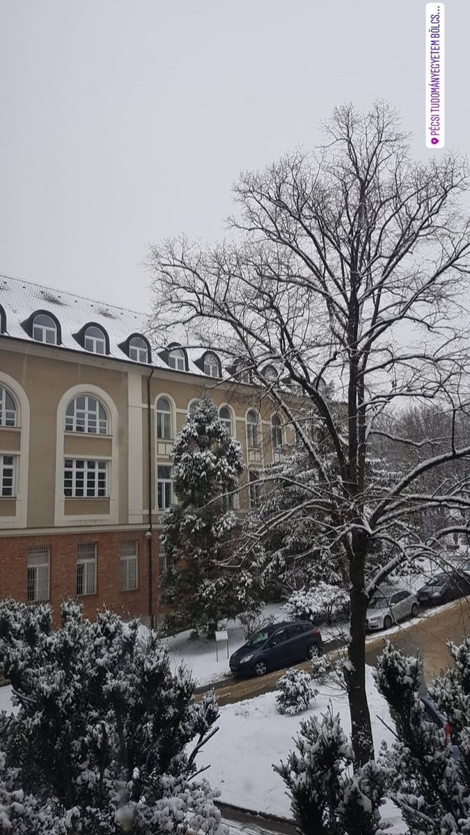 studyinsopianae's tweet photo. Ez a csodálatos látvány a PTE-BTK épületéből készült. A leggyönyörűbb egyetem, ami csak létezik. 💖💝 #freePTE https://t.co/pMs3xrvz3M