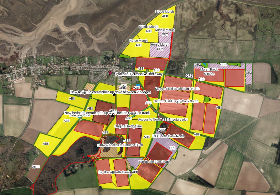 It became clear we could have 20 plots on farm, each 5 hectares in size. This would allow 5 year rotation, 4 plots in each year of rotation.Essentially we cut out 20 plots from our fields (pink areas), trying to keep them as rectangular as possible for ease of working.