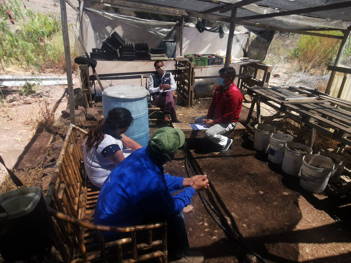 MinagriCoquimbo's tweet photo. 🟢 El apoyo a nuestros agricultores no para.
En el sector de #Huana, #MontePatria, Seremi @Rodrigordenes1 conversa con pequeños 👩🏻🌾👨🏻🌾, para buscar medidas de apoyo, a través de los instrumentos del @MinagriCoquimbo, ante la #EscasezHídrica que afecta su desarrollo productivo. https://t.co/KxuHHOnI3l
