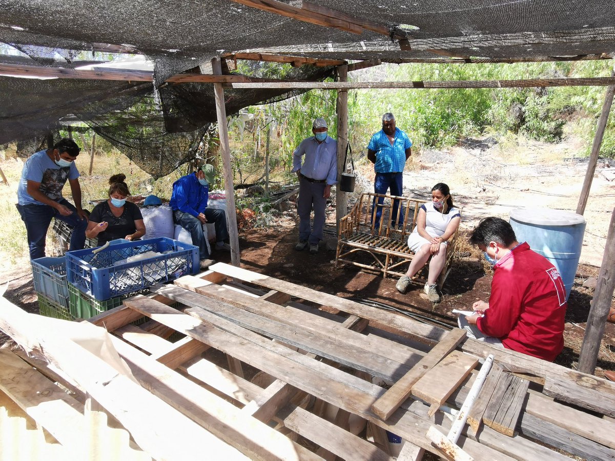 MinagriCoquimbo's tweet photo. 🟢 El apoyo a nuestros agricultores no para.
En el sector de #Huana, #MontePatria, Seremi @Rodrigordenes1 conversa con pequeños 👩🏻🌾👨🏻🌾, para buscar medidas de apoyo, a través de los instrumentos del @MinagriCoquimbo, ante la #EscasezHídrica que afecta su desarrollo productivo. https://t.co/KxuHHOnI3l