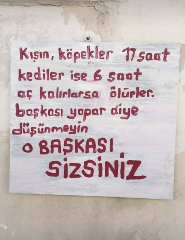 Deniz (@pascada) on Twitter photo 