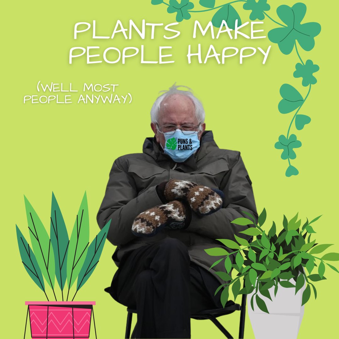 punsnplants's tweet photo. Puns &amp; Plants mitten range in 2021 anyone? 

Model: @BernieSanders 

#berniesmittens #BernieSanders https://t.co/N2YYPgyo9o