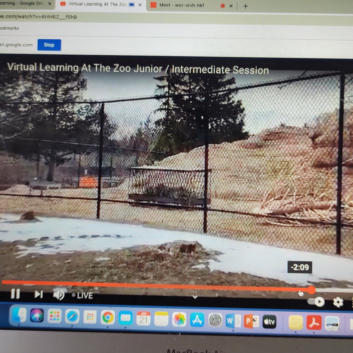 edu_mrs_taylor's tweet photo. My grade 7/8s learning about biodiversity and conservation efforts that they can see at @TheTorontoZoo. @delawarecentral #gradeseven #gradeeight #science https://t.co/4nHavlIZcP