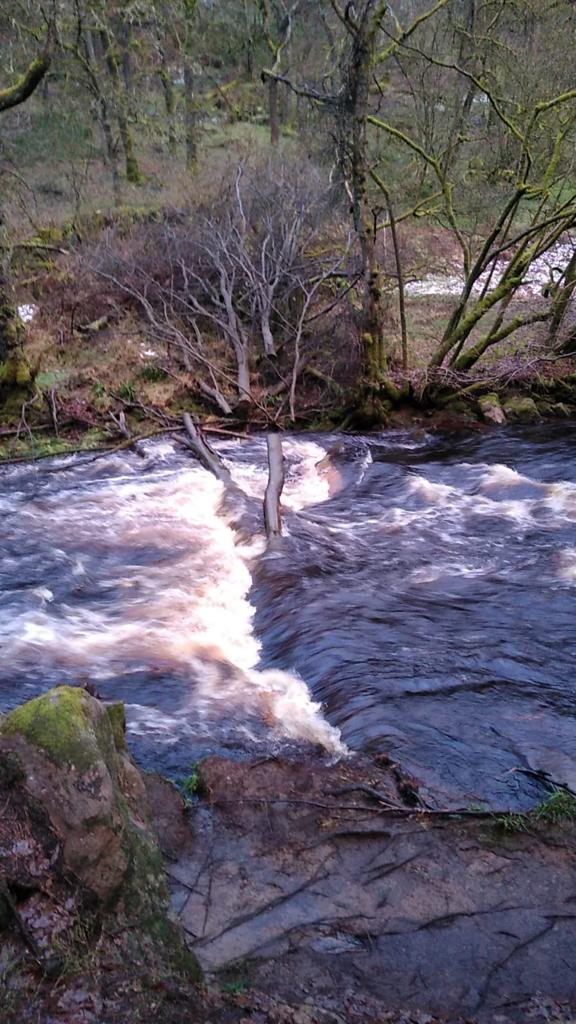 Slow The Flow (@slowtheflow_uk) on Twitter photo We've been at <a href="/HardcastleNT/">Hardcastle Crags</a> today to have a nosy around after the turbulent few days we've been having weather wise. Check out the tethered leaky dams doing their job of keeping Hebden Bridge dry. We are incredibly pleased to see our work doing a grand job.
#slowtheflow We've been at <a href="/HardcastleNT/">Hardcastle Crags</a> today to have a nosy around after the turbulent few days we've been having weather wise. Check out the tethered leaky dams doing their job of keeping Hebden Bridge dry. We are incredibly pleased to see our work doing a grand job.
#slowtheflow