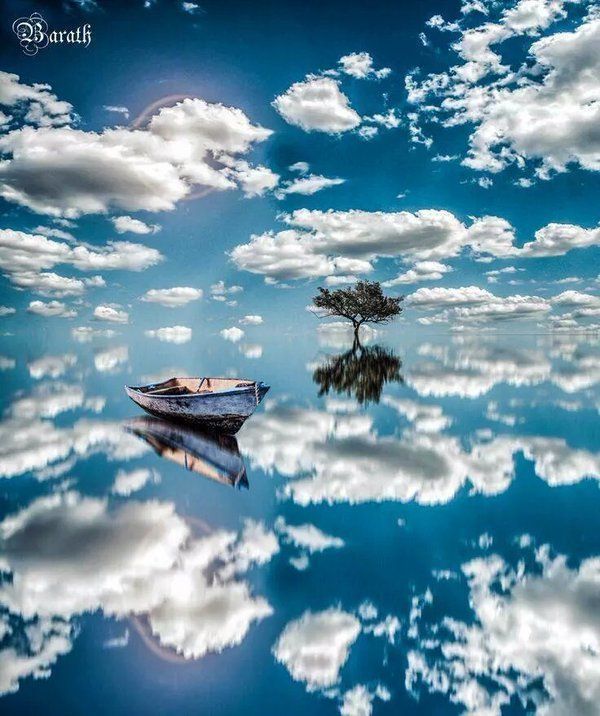 noveliciouss tweet picture