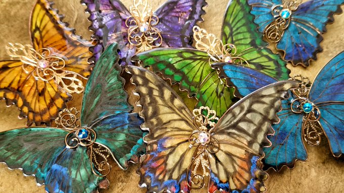 蝶の標本のtwitterイラスト検索結果