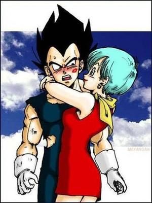 Végéta a une fierté incroyable il refuse la supériorité de quelqu’un d’autre Ces parents sont roi végéta et sa mère inconnue il est marié à bulma et a eu deux enfants trunks et bra