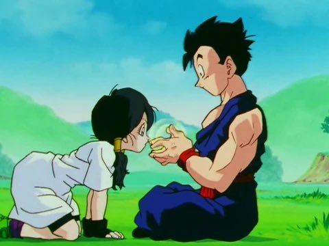 Gohan est marié à videl et à eu un enfant nommé Pan , gohan est gentil de nature il n’aime pas se battre ces parents sont chichi et goku