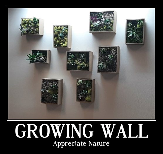 OppNow1's tweet photo. "Nature is a miracle we depend upon."  Opportunity Now has added the beginning of a plant growing wall.  Thank you to the creators of this installation!  #why305 #LifeIsGood #AppreciateMotherNature https://t.co/P8Ydz7WM4Q