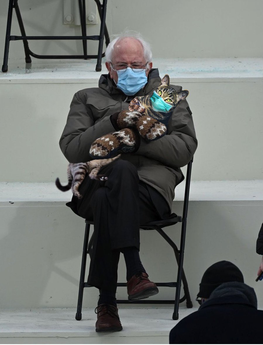 Photograph_This's tweet photo. I had to get in on making one. I think I’ll call him mittens 😂
#berniesmittens #berniesanders #berniesandersmemes #berniememes #bernieforkitties #savingkittens #mittensthecat #thecathasmittens https://t.co/TsI8XaW4iU