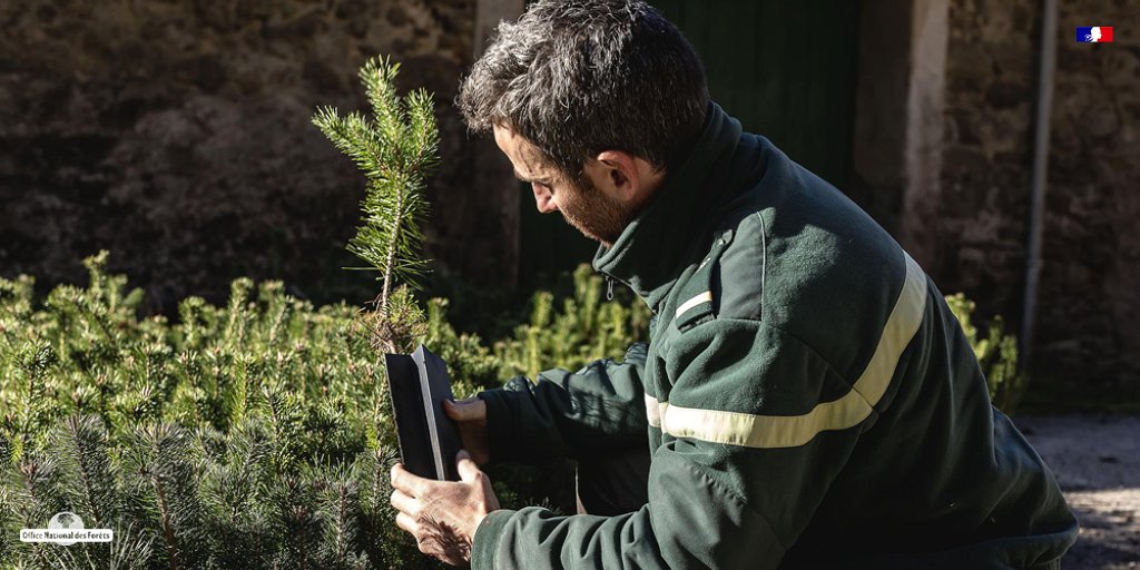ONF_Officiel's tweet photo. #Innover : le RMT Aforce, coordonné par le #CNPF, agit pour adapter les #forêts au changement climatique. Près de 16 partenaires participent à ce réseau mixte technologique, dont l'#ONF, avec le soutien de @Agri_Gouv et @franceboisforet. https://t.co/Z9AG0lhyir