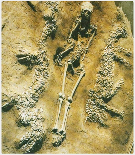 Thread: This is one of the most amazing things I have seen...Neolithic  https://en.wikipedia.org/wiki/Yangshao_culture burial, discovered in Puyang, Henan Province, Northwestern China and dated to 4000BC...