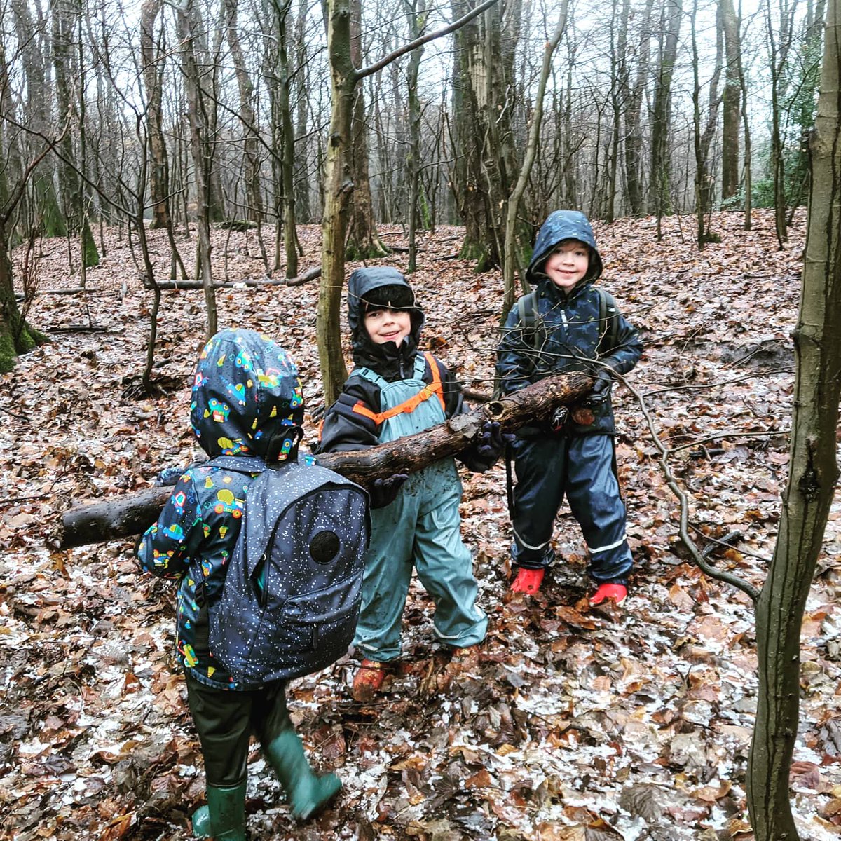 Great and Small Forest Education tweet media