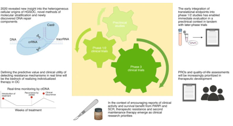 BlogClinical's tweet image. Advances in ovarian cancer, from biology to treatment - clinicalbioinfo.com/2021/01/advanc…
