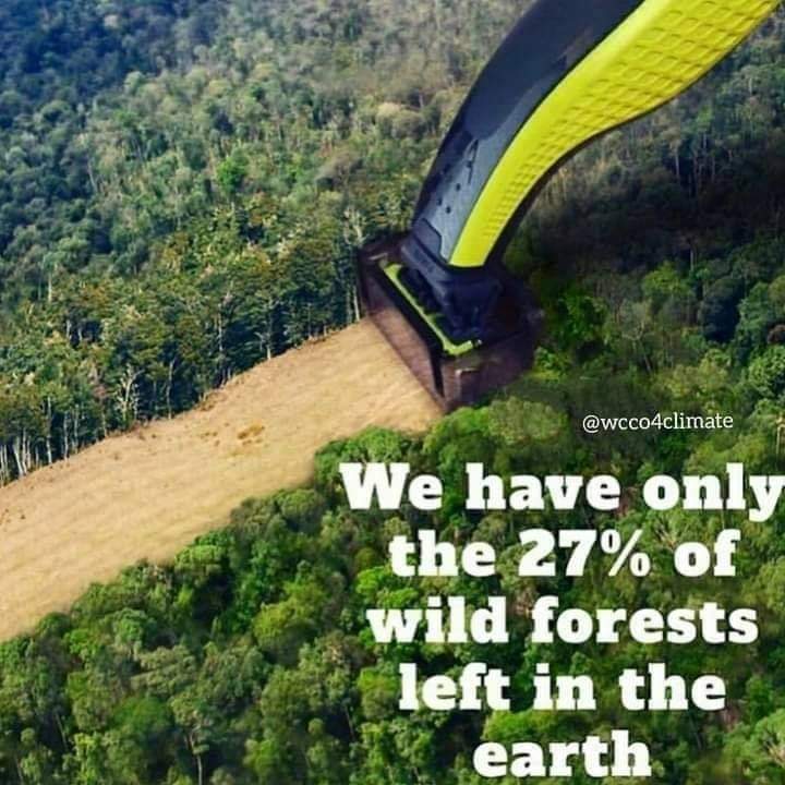 Sulimankhil65's tweet photo. #environment
#Environmental_Motivation
#EcoConscious
#SaveThePlanet
#AfghanistanEnvironment
#Green_Action
#Eco-outreach
#Sustainability
#eco-friendly
#environmental_activism
#climateactivism https://t.co/gWZTiWf5Sd