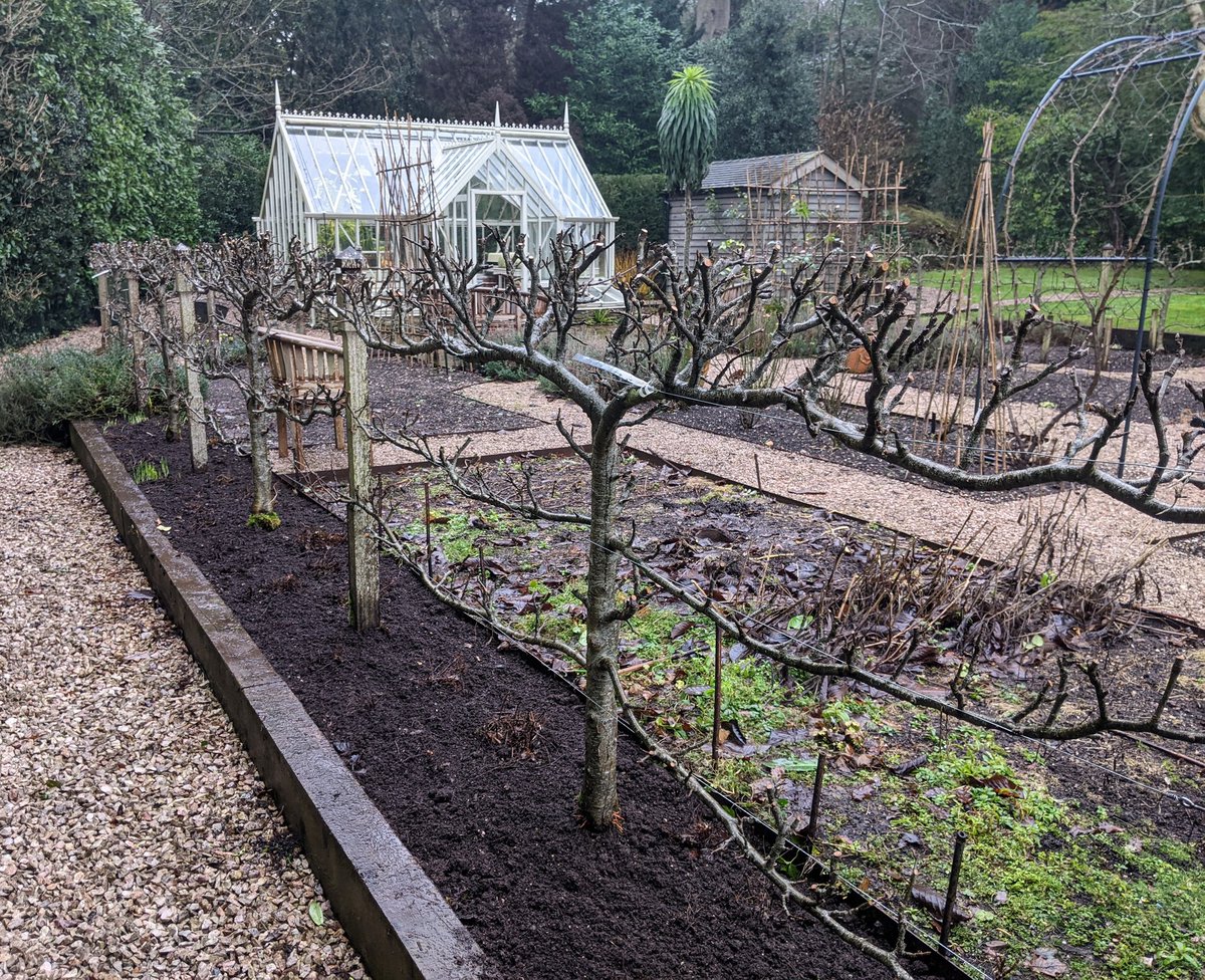 GardeningSaul's tweet photo. If you heard the latest #TalkingHeadPodcast about winter pruning then I talked about the #Apple #Espalier spur-thinning we've been doing at #Stonelands - Claire, our @wfga #WRAGs trainee has done a wonderful job on our Veg garden trees, all ready for #apring blossom! https://t.co/OarbuiwDUE