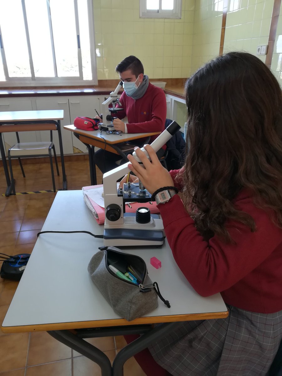 cole_sagrada's tweet photo. Busquem cobrir les necessitats del nostre #alumnat combinant #ensenyament pràctic i teòric ⚗️ #somsagrada https://t.co/Li8OEikNID