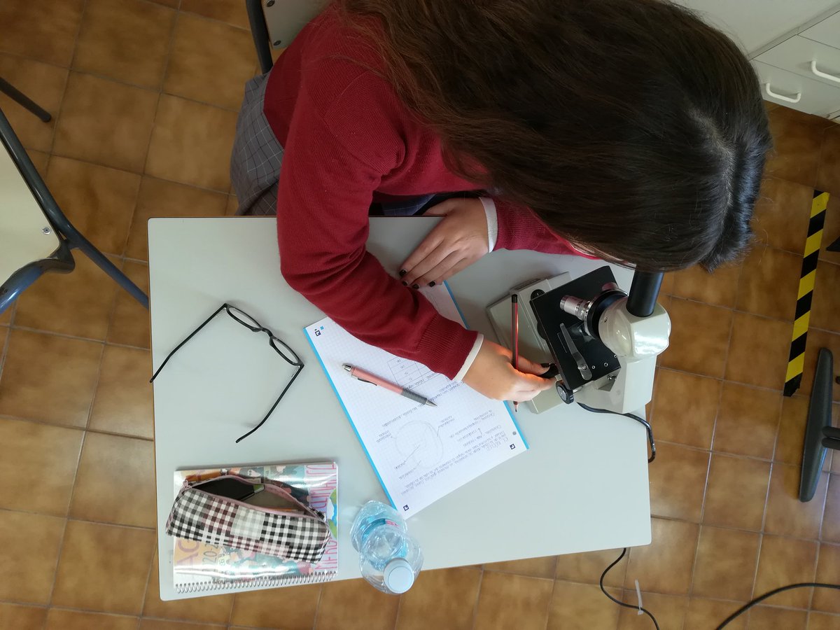 cole_sagrada's tweet photo. Busquem cobrir les necessitats del nostre #alumnat combinant #ensenyament pràctic i teòric ⚗️ #somsagrada https://t.co/Li8OEikNID