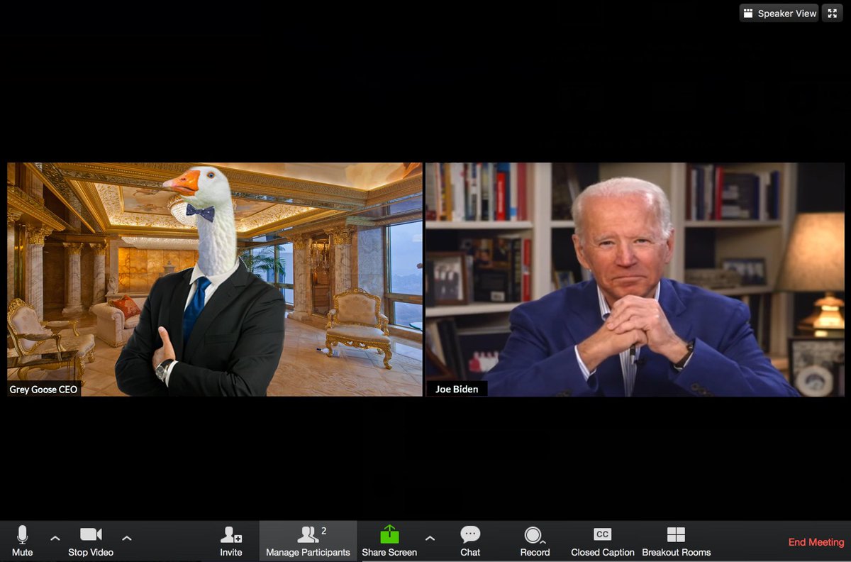 GreyGooseCEO's tweet image. Just had a very productive Zoom™️ call with President Joseph R. Biden. He will be appointing me as Secretary of Malarkey, effective immediately.