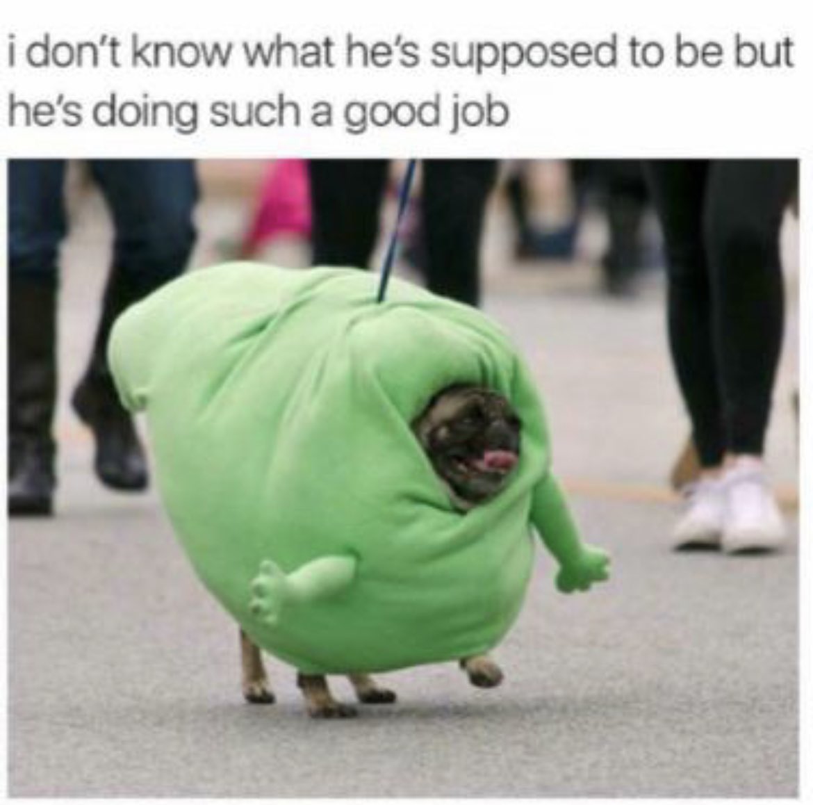 RespectfulMemes's tweet photo. https://t.co/KLiW2SAa3p