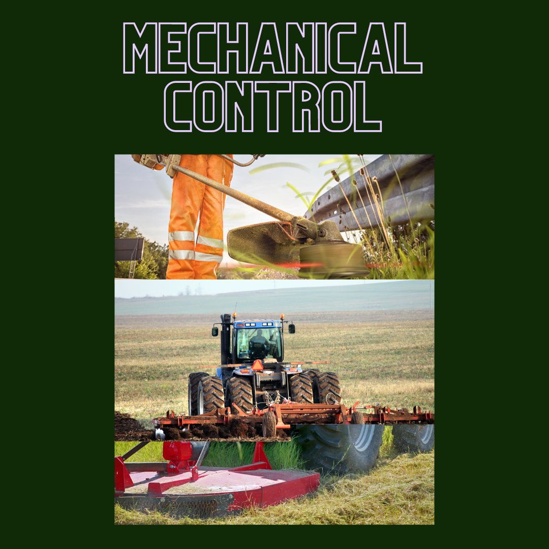 FWRWMA's tweet photo. Mechanical control of invasive weeds includes activities that inhibit plant growth - like mowing or cultivation.  This type of control should be used in conjunction with the plant’s ecology.  
#invasiveweeds
#fwrwma
#mechanicalcontrol
#getridofweeds https://t.co/sbX13hwTbX