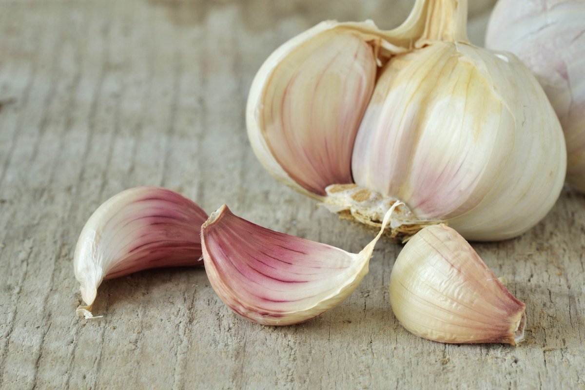 Garlic. While we’ve all heard of guarding against vampires (vampires are hot though, why would you guard against vampires?) Garlic also has extensive historical use for protection. In some folk magick traditions, garlic is hung above the door to protect the home.