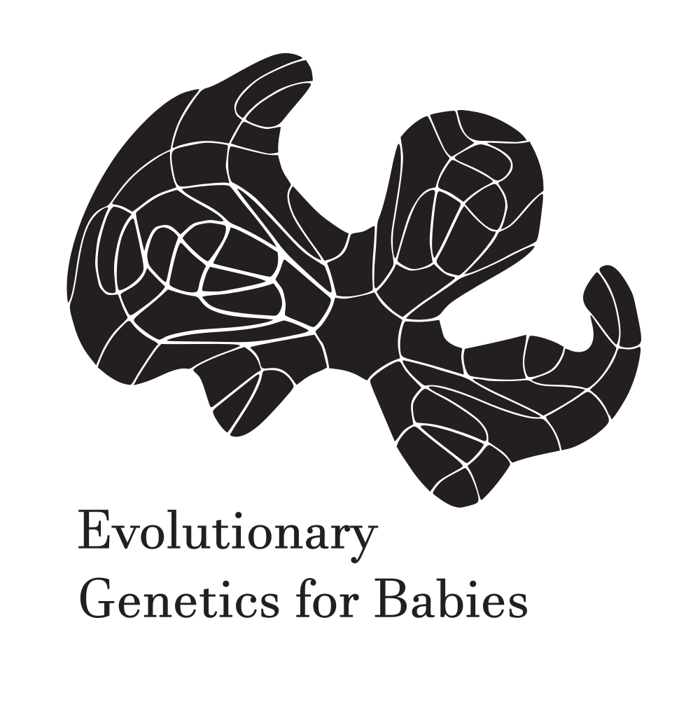 Magdalena Bohutínská tweet media