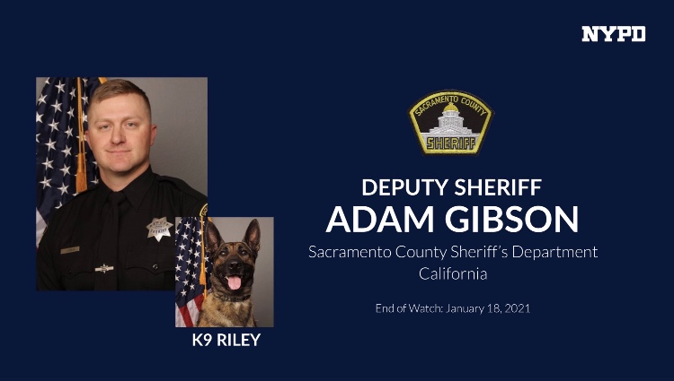 NYPD72Pct's tweet image. Deputy Sheriff Gibson @SACDSA was shot &amp;amp; killed, along with his K9 partner Riley while trying to apprehend a suspect. He leaves behind a wife &amp;amp; 9-month old child. Our condolences to family, friends &amp;amp; colleagues. #FidelisAdMortem