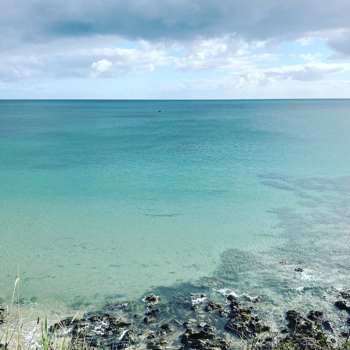 Protecting the ocean is protecting the climate. 🌏🌱🌏🌱🌏🌱#ClimateAction #OceanAction