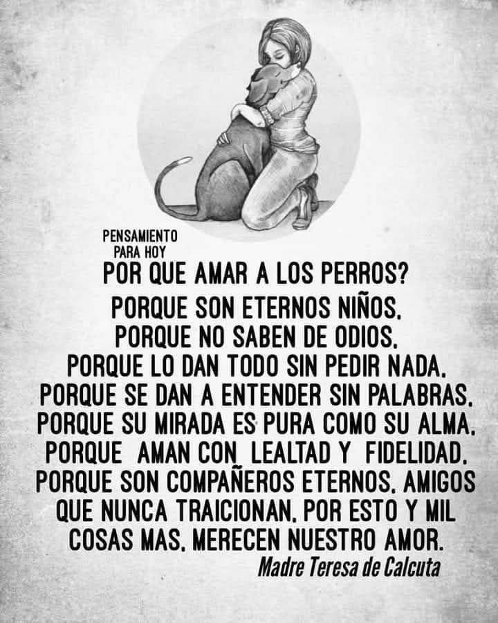 PerroUsuario's tweet photo. Lo dijo quien sabía de dar amor... https://t.co/cFldOCsQ6P