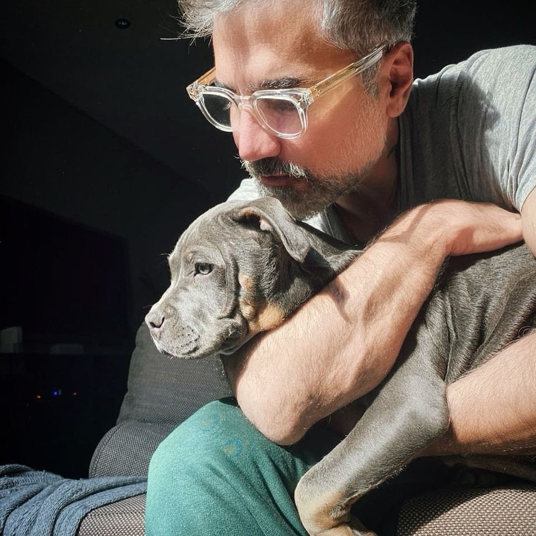 TeamAlfmiami's tweet photo. Posted โข @alexoficial La princesa de la casa #koโz ๐๐๐๐ฝ #americanbullys #blue #trimerle @TeamAlfmiami https://t.co/hQb96jSP6y
