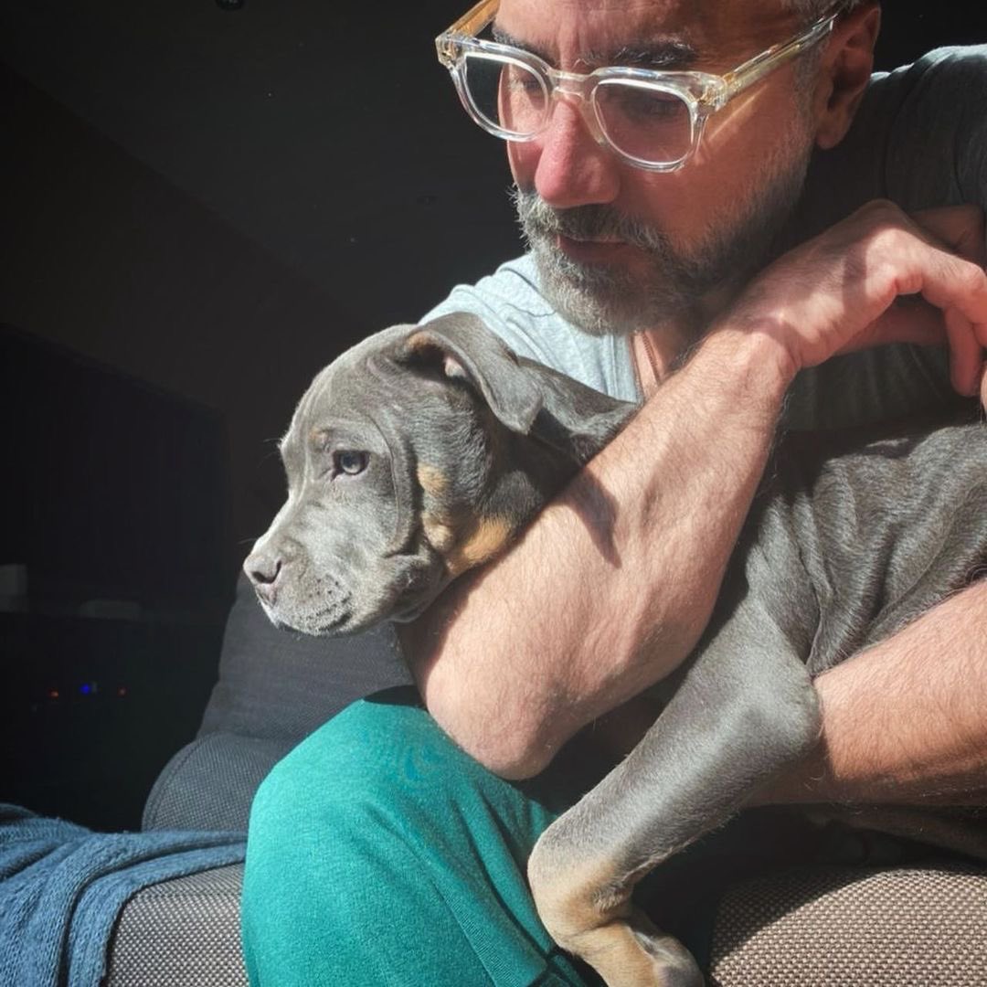 TeamAlfmiami's tweet photo. Posted โข @alexoficial La princesa de la casa #koโz ๐๐๐๐ฝ #americanbullys #blue #trimerle @TeamAlfmiami https://t.co/hQb96jSP6y