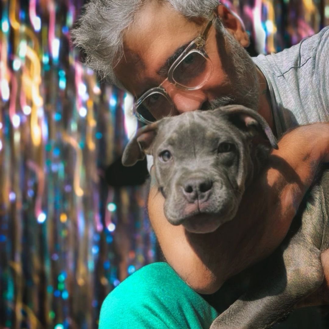 TeamAlfmiami's tweet photo. Posted โข @alexoficial La princesa de la casa #koโz ๐๐๐๐ฝ #americanbullys #blue #trimerle @TeamAlfmiami https://t.co/hQb96jSP6y