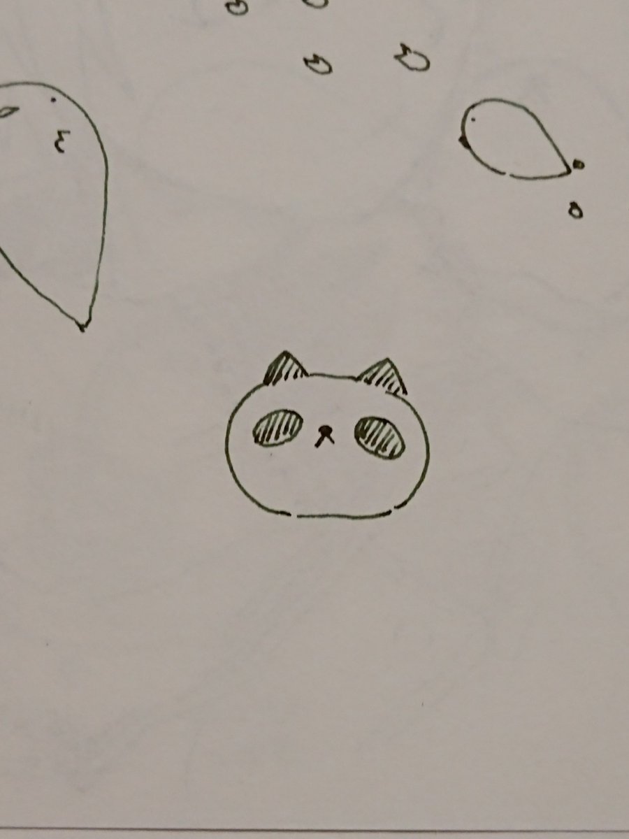 ねこねこを買ってきて、チョコペンで顔を描くと… 