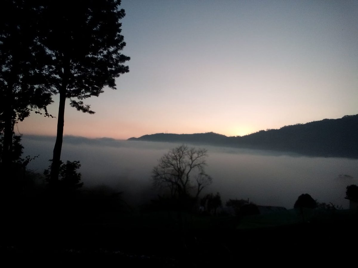 The breeze at the dawn has secrets to tell you, don't go back  to sleep.❤❤
#nainital #baakhei #bhimtal #weekend #uttarakhand #hiking #workfromhome #trekking #workfrommountains #farmstay #camping
