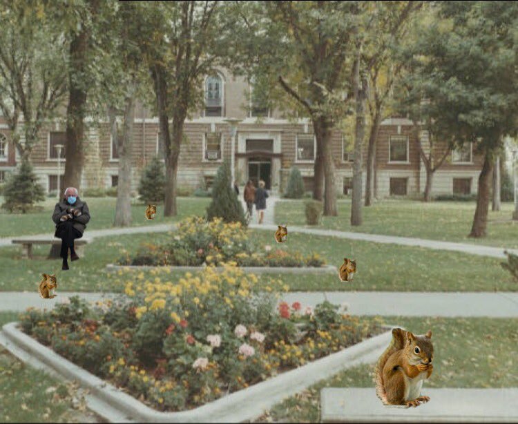 Barstool NSU (@barstoolnsu) on Twitter photo 