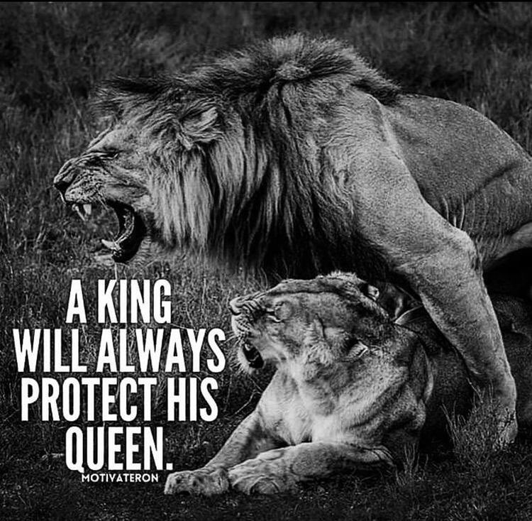 Beard Lovers Unite (@live_bearded) on Twitter photo 