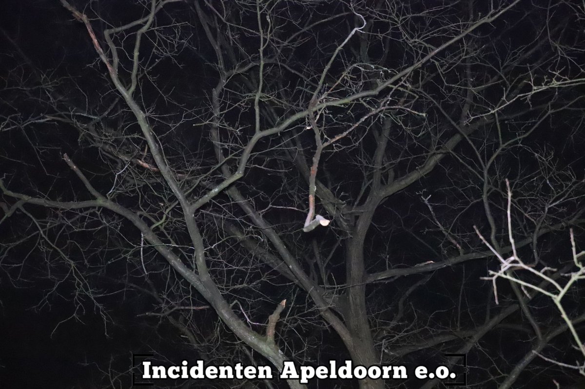 Melding brandweer Stoppelbergweg Beekbergen